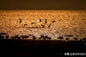 雁飞南与北，相思秋与春图片