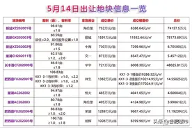土拍激战！楼面价破万，合肥黑马板块崛起！改善优选红盘来了图片