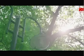 MV《在灿烂阳光下》！同心向党 深情告白图片