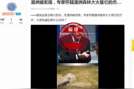 网传“澳洲出现会喷火的鸟”？真相来了图片