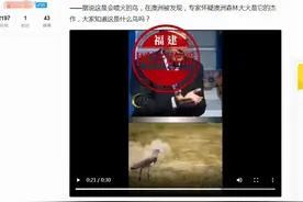 网传“澳洲出现会喷火的鸟”？真相来了图片