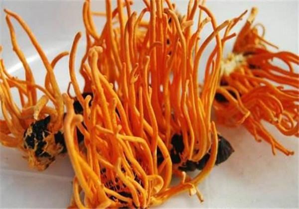 浜哄伐铔硅櫕鑽夋牻鍩规妧鏈紝鑳芥彁鍗囪浌铏崏浜ч噺锛岃繕鑳戒繚鎸佸叾钀ュ吇