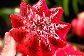 炎炎夏日，口渴喝水易撑肚子，不妨吃这3颗水果，比水美味还解渴图片