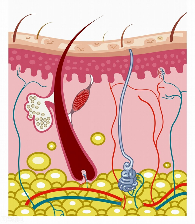 骞寸粓鐩樼偣锛?4娆剧敺澹帶娌逛繚婀夸釜鎶ゅソ鐗╋紝鐢ㄨ繃鎵嶆帹鑽愮郴鍒? onerror=