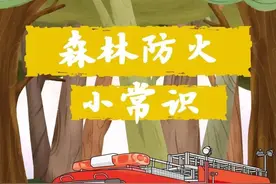 森林防火无小事 时刻紧绷安全弦图片