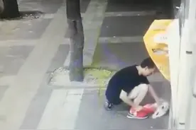 男子塑料袋内藏榔头，当街猛砸小狗后带走，爱狗人士抗议遭怼：没拴绳图片