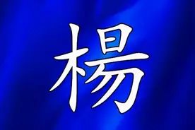 杨氏族谱简介图片