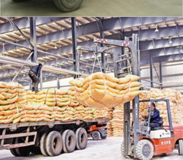 作物缺氮的症状是什么？氮肥对作物生长有哪些影响？