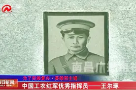 王尔琢：中国工农红军优秀指挥员，曾与朱德、陈毅并肩指战视频封面