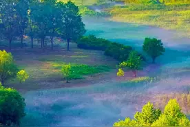 有一种旅行，叫潍坊的夏天。图片