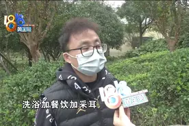 鞋柜没有上锁，万国表不见了？图片