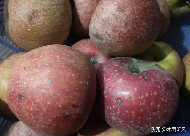 苹果膨大期，用什么肥料好？你是否了解？