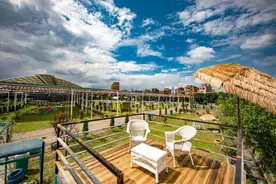 远离城市喧嚣！佛山有个超好玩的阳光营地！驾车只需30分钟图片