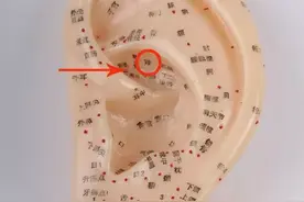 一个超简单的补肾法：每天搓耳朵5分钟！（男女通用）图片