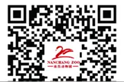 今天起！南昌动物园恢复全面开放图片