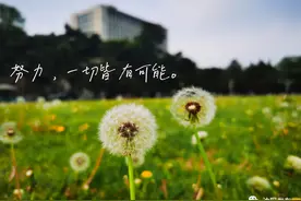 来沈阳上大学吧！你的青春里一定会有这些！图片