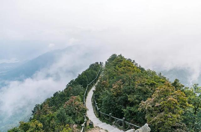 深圳值得征服的10座山，你去过几座？