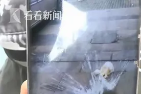 男子过生日点外卖，超时太久取消订单，骑手当面怒砸外卖图片