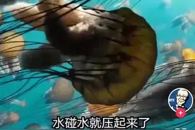 深海生物会被压强压扁吗？85岁深海勇士在抖音花样揭秘海底世界图片