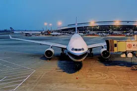 失控！空运价格突破去年最高点，普遍80以上图片