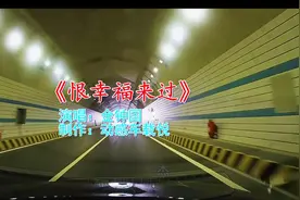 比潮汕牛肉丸还弹的曲子《恨幸福来过》，代入感太强了，超赞