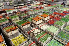 鲜花冷链运输的核心不是“冷”，是恒温图片