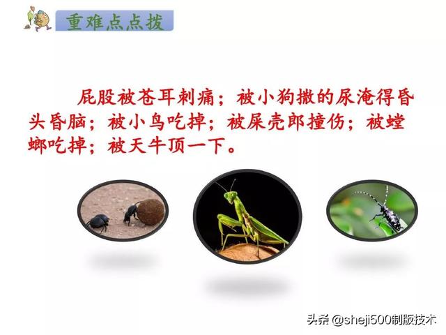 部编语文二年级（下）《我是一只小虫子》知识点、练习