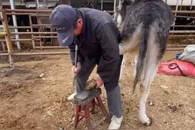 让千万人看的如痴如醉不能自拔的视频，不光动刀，有些还见血图片
