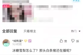 IR大嘴发表不当言论遭封杀！500万打老李！阿哲自曝钱没刷完图片