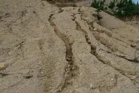 百年生成1厘米的土壤，每年流失超过15亿吨，犁耕种植危害有多大图片