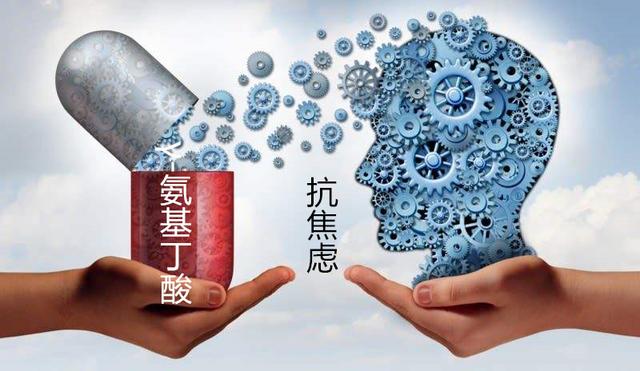 营养功能成分每日一讲：γ-氨基丁酸