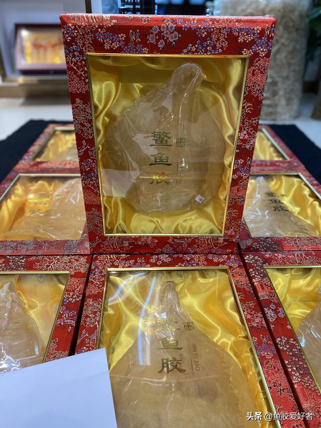 斗湖鱼胶图片大全 2025年斗湖鱼胶的功效和作用