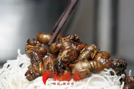 金蝉、蚂蚱能吃了吗？网传“禁食令”解除，权威部门：系误读图片