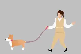 被狗咬了但是没出血，要不要打针？预防狂犬病，记住“1234”图片