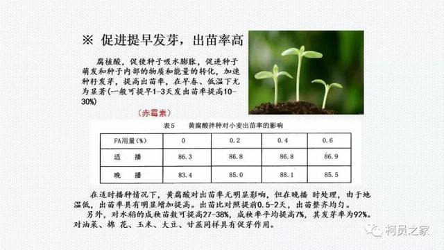氨基酸、腐殖酸、黄腐酸都是什么东东？有啥用？
