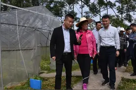 桂林市政协主席陈丽华率队到秀峰区开展暖企助企考察图片