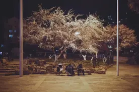 我在武汉街头流浪20天，头发白了一半图片