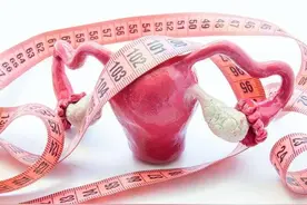 女性要清楚：卵巢有哪些功能，好发哪些疾病？图片