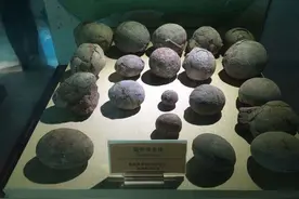 “中华恐龙之乡”河源又现恐龙蛋图片