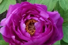 填报高考志愿从哪些方面了解大学专业图片