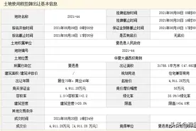 夏邑县城区4宅地网拍，1地块每亩280万元成交图片