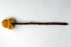 摆在每一名穿越者面前的难题：古代实在臭，卫生条件令人窒息图片