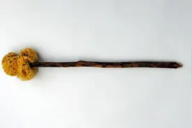 摆在每一名穿越者面前的难题：古代实在臭，卫生条件令人窒息图片