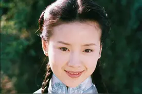 《金粉世家》八位女性，除了董洁、刘亦菲，她们也美得各有特色图片