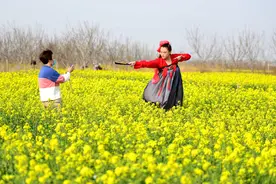 美爆了！邢台这个地方已成花海，上万亩油菜花竞相绽放，梦幻迷人图片