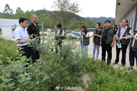 吃什么能抗癌抗老化，还预防近视？听这位“甜心”告诉你图片