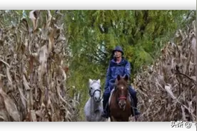 骑马仗剑走天涯！39岁男律师用2年，骑马从新疆到福建图片