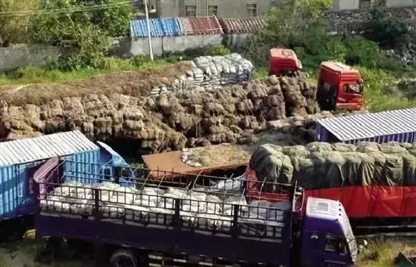 《破冰行动》原型揭秘!4000警力陆海空全清缴,远比电视惊心动魄