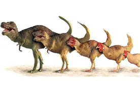 山海经：独特的语言叙述方式，暴露了此书作为外来者的视角图片