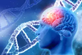 81%的中风复发可避免！美国心脏协会建议关键做好这几点图片